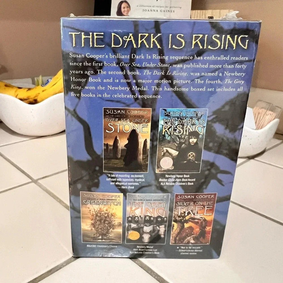 Susan Cooper The Dark Is Rising (Boxed Set) - Picture 4 of 4